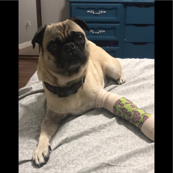 Thank you for being a blessing to my home! 💗 - Picture 3 of 7